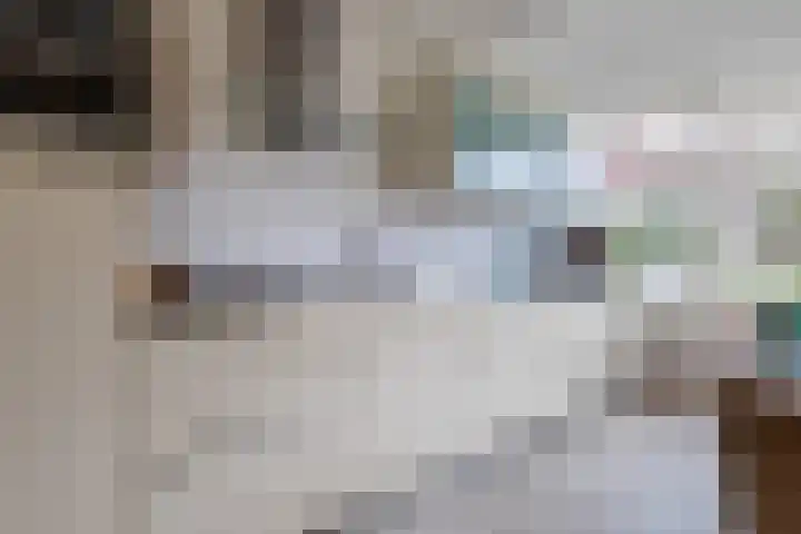 Zuurbeshof 8 Heemskerk thumbnail 14