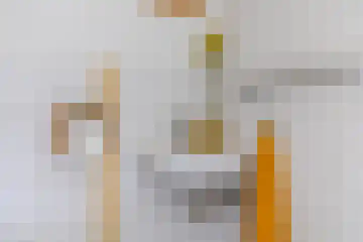 Zuurbeshof 8 Heemskerk thumbnail 18