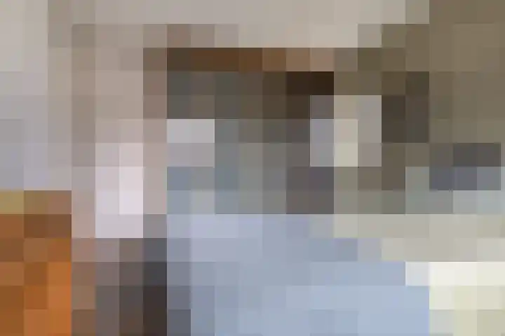 Zuurbeshof 8 Heemskerk thumbnail 22