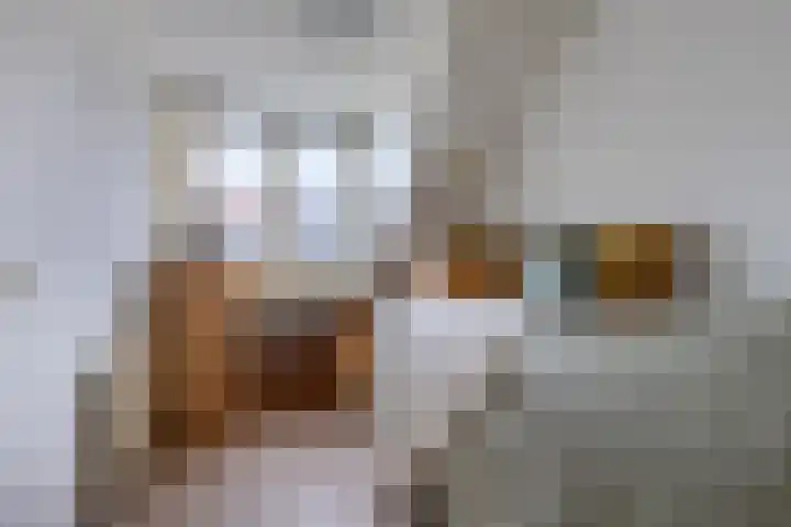 Zuurbeshof 8 Heemskerk thumbnail 23