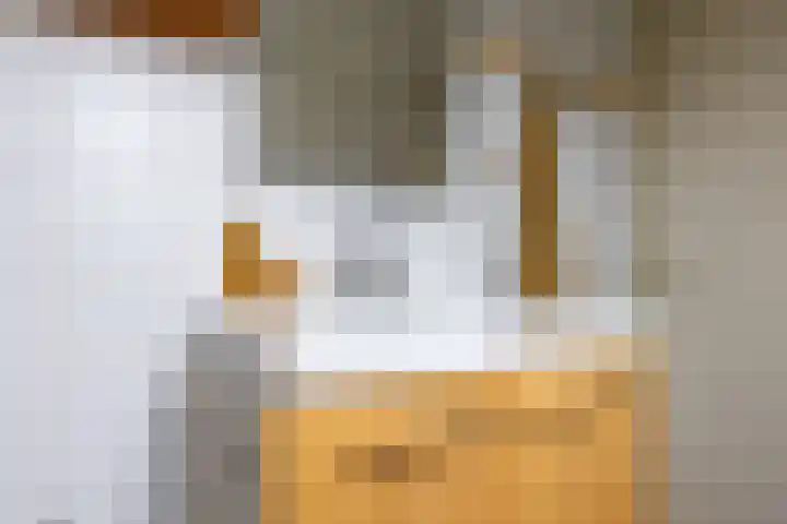 Zuurbeshof 8 Heemskerk thumbnail 27