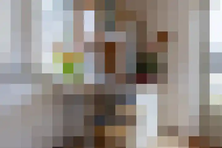 Zuurbeshof 8 Heemskerk thumbnail 32
