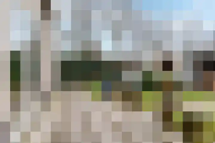Zuurbeshof 8 Heemskerk thumbnail 34