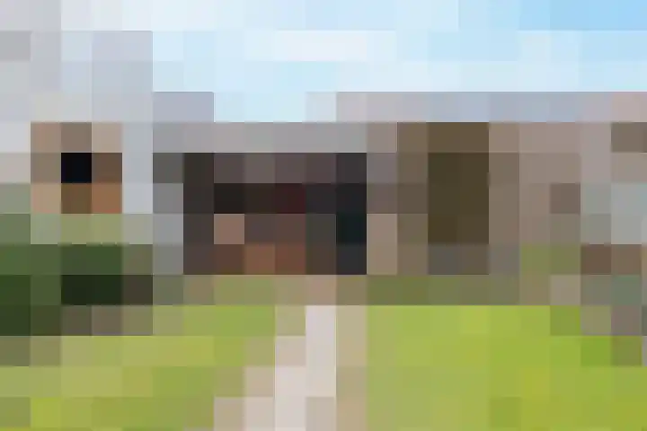 Zuurbeshof 8 Heemskerk thumbnail 36