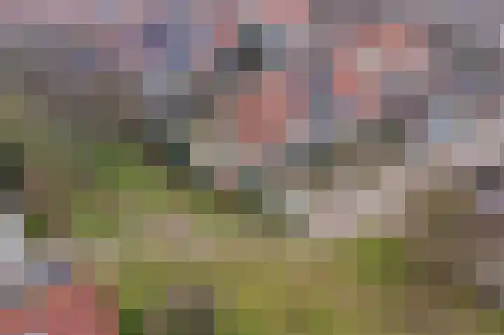 Zuurbeshof 8 Heemskerk thumbnail 42
