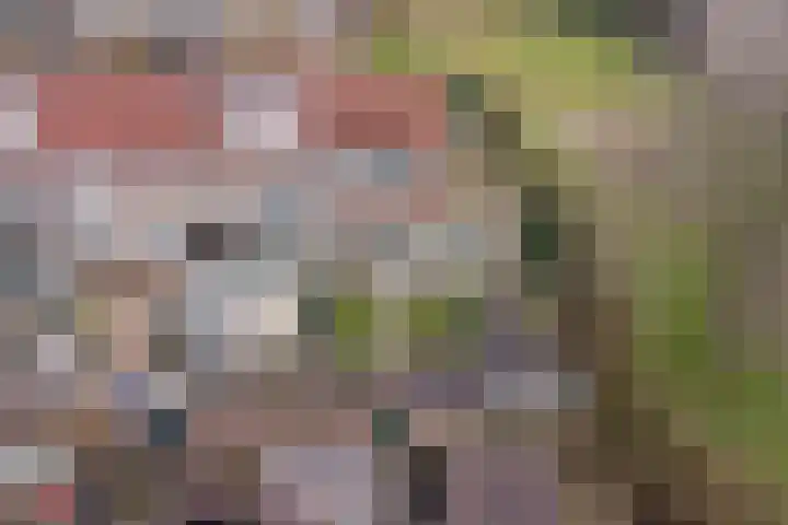 Zuurbeshof 8 Heemskerk thumbnail 43