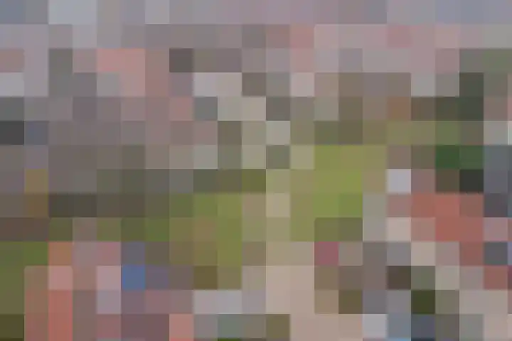 Zuurbeshof 8 Heemskerk thumbnail 44