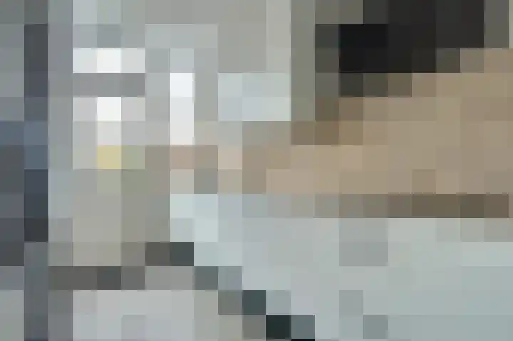 Zuurlandseweg 16 Brielle thumbnail 8
