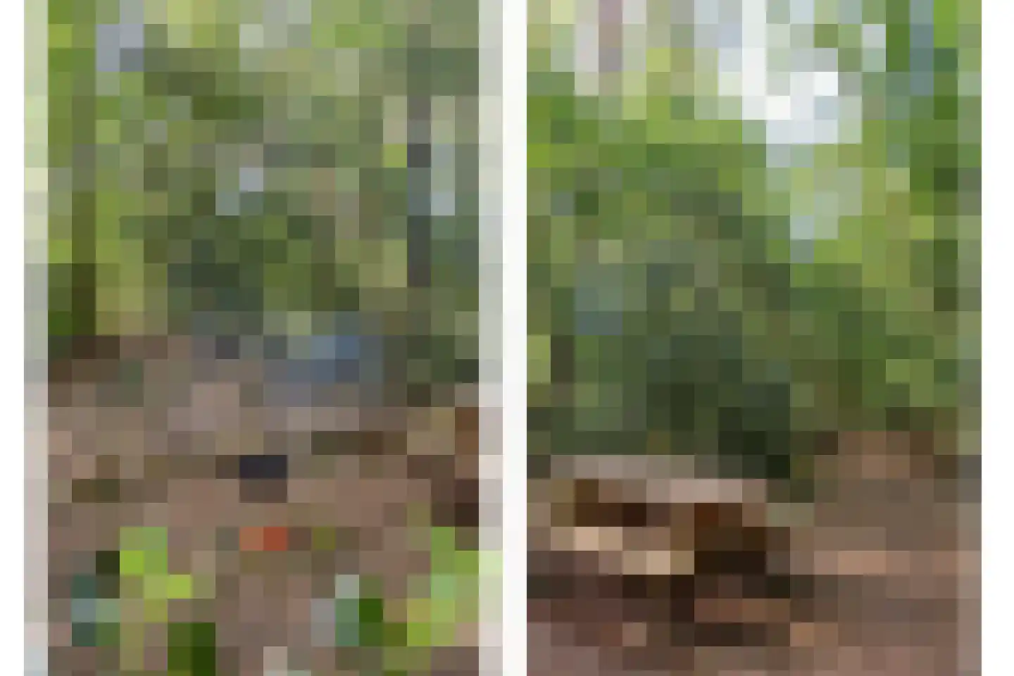 Zuursche Duinen 16 Steenbergen thumbnail 10