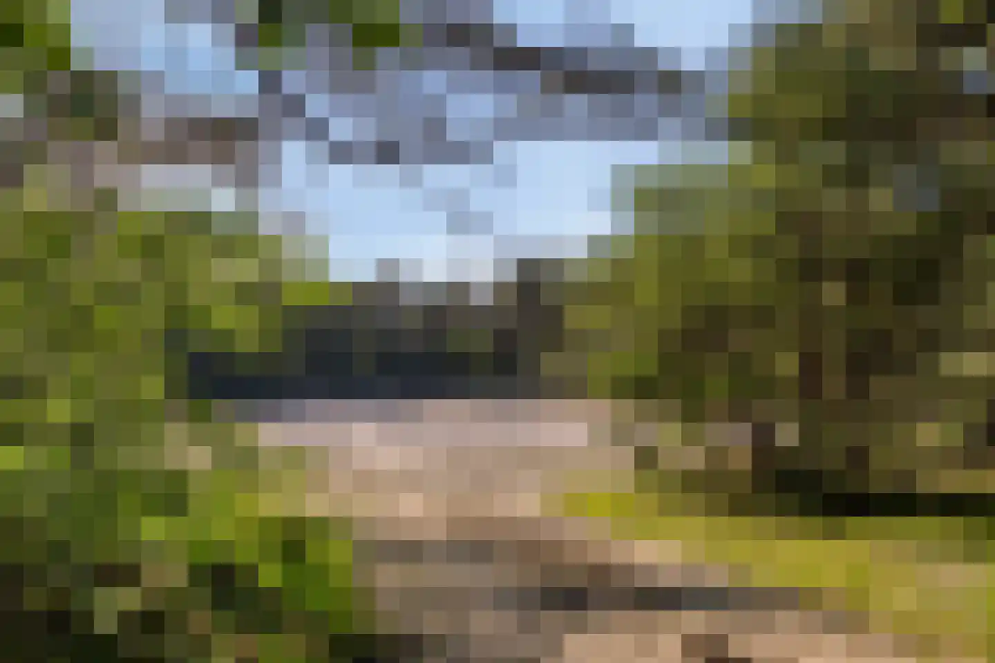 Zuursche Duinen 16 Steenbergen thumbnail 11
