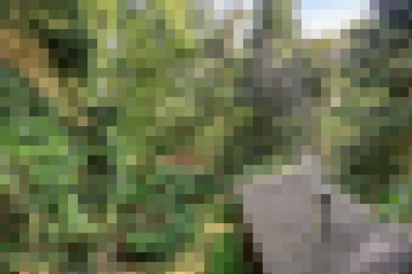 Zuursche Duinen 16 Steenbergen thumbnail 30
