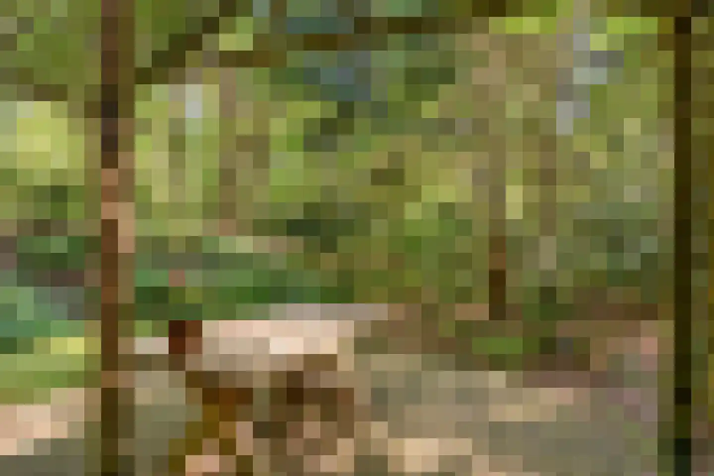 Zuursche Duinen 16 Steenbergen thumbnail 31