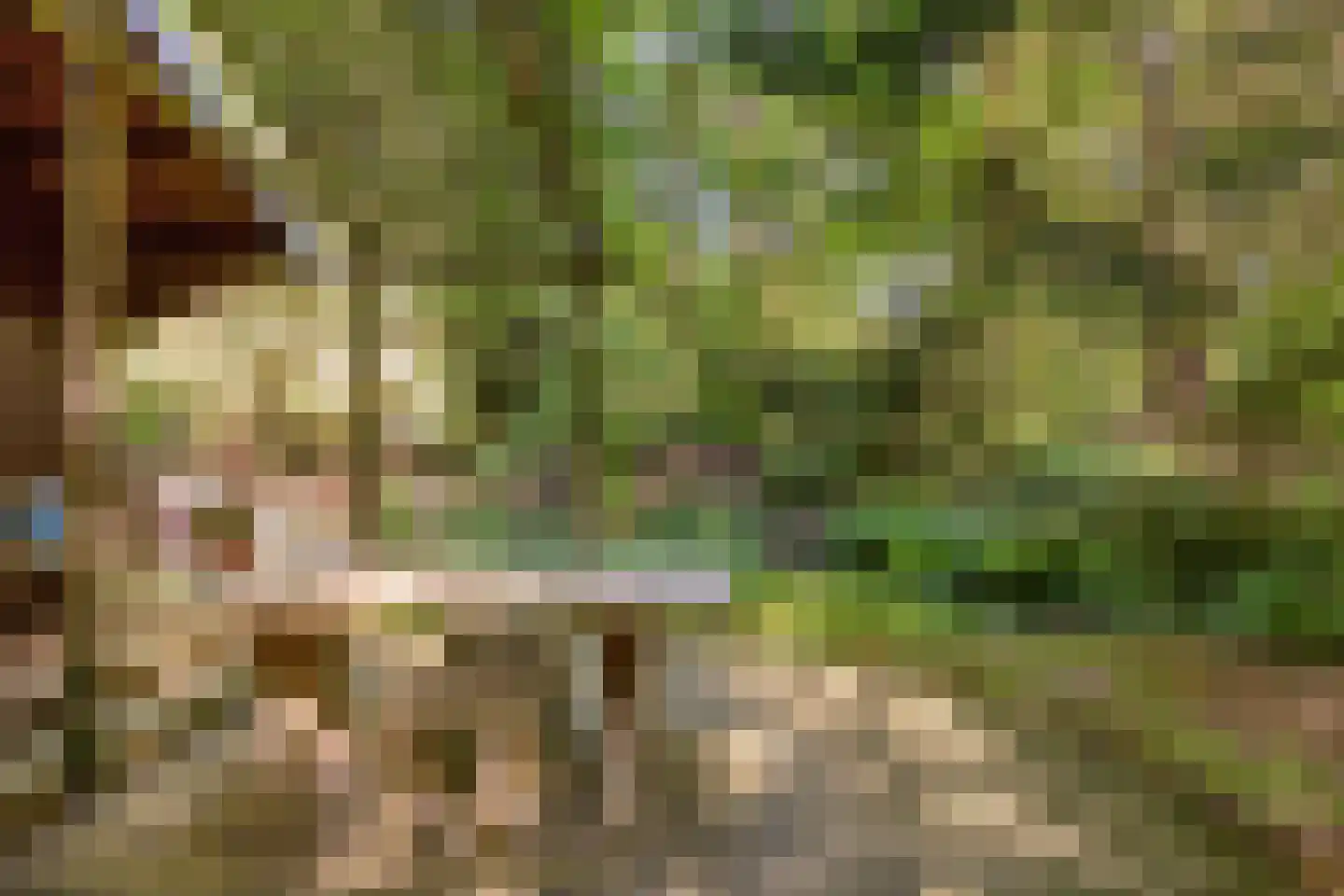 Zuursche Duinen 16 Steenbergen thumbnail 32