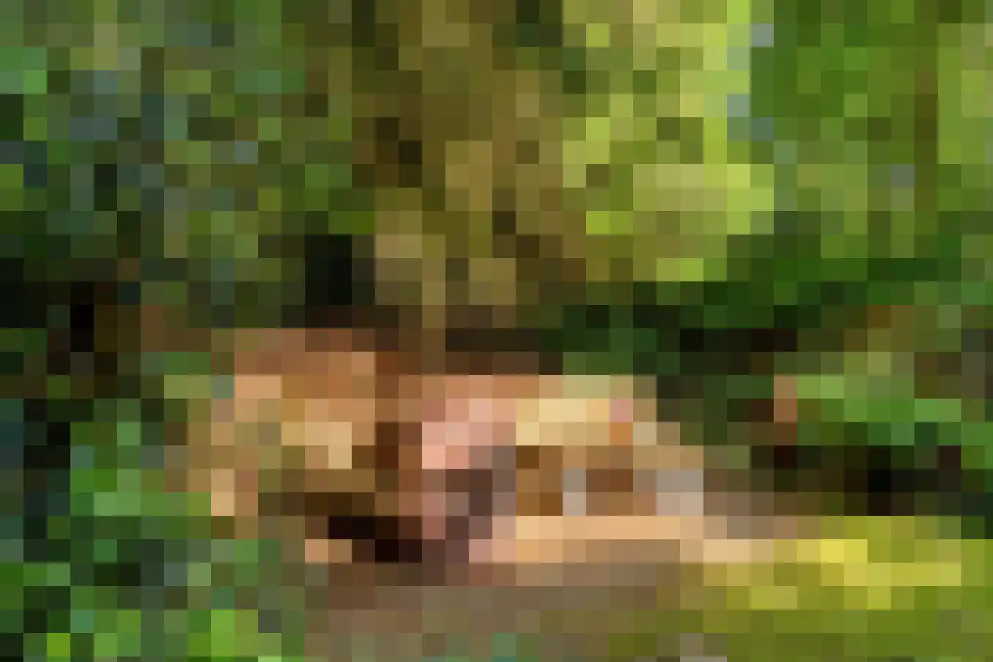 Zuursche Duinen 16 Steenbergen thumbnail 36
