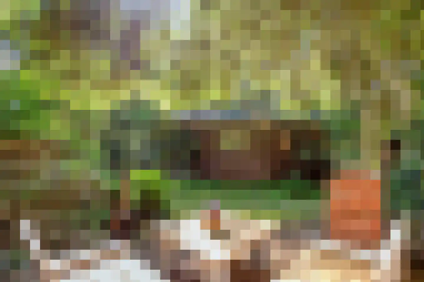 Zuursche Duinen 16 Steenbergen thumbnail 37