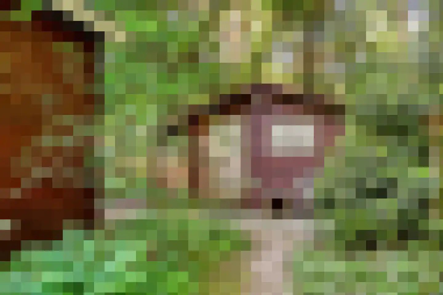 Zuursche Duinen 16 Steenbergen thumbnail 39