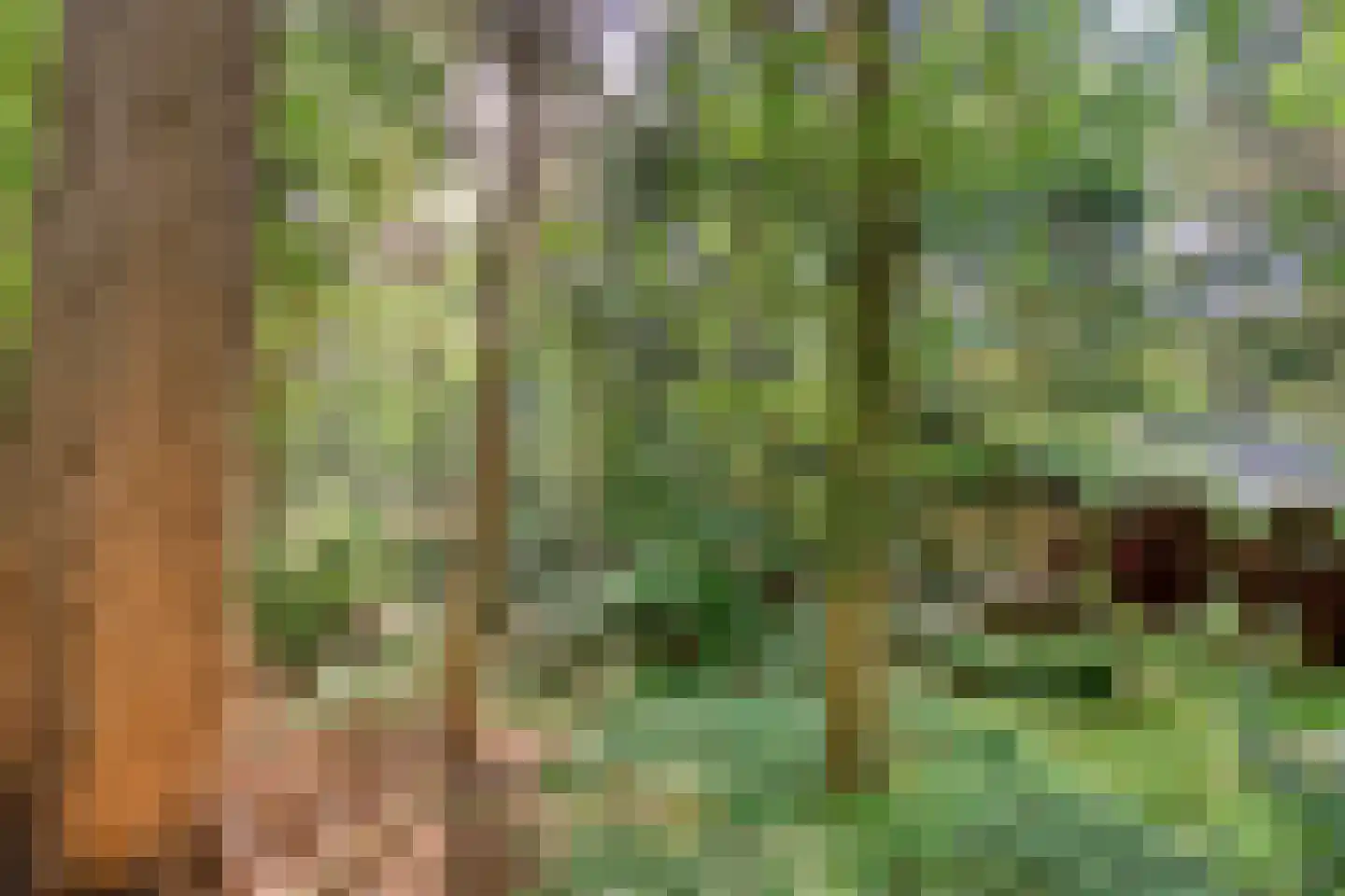 Zuursche Duinen 16 Steenbergen thumbnail 47