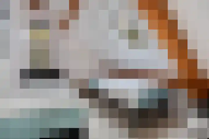 Zuursche Duinen 5 Steenbergen thumbnail 33