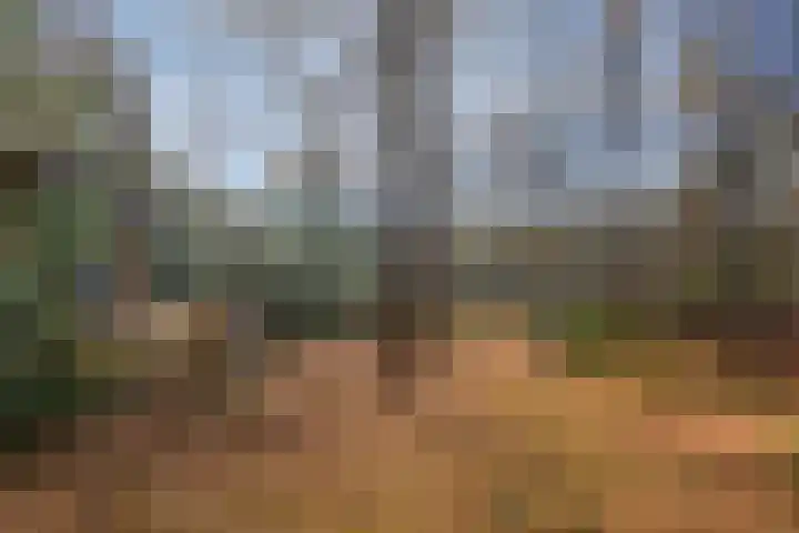 Zuursche Duinen 5 Steenbergen thumbnail 38