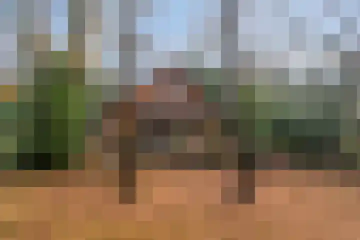 Zuursche Duinen 5 Steenbergen thumbnail 39