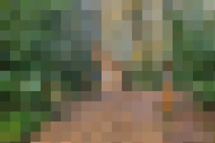 Zuursche Duinen 5 Steenbergen thumbnail 4