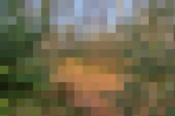 Zuursche Duinen 5 Steenbergen thumbnail 44