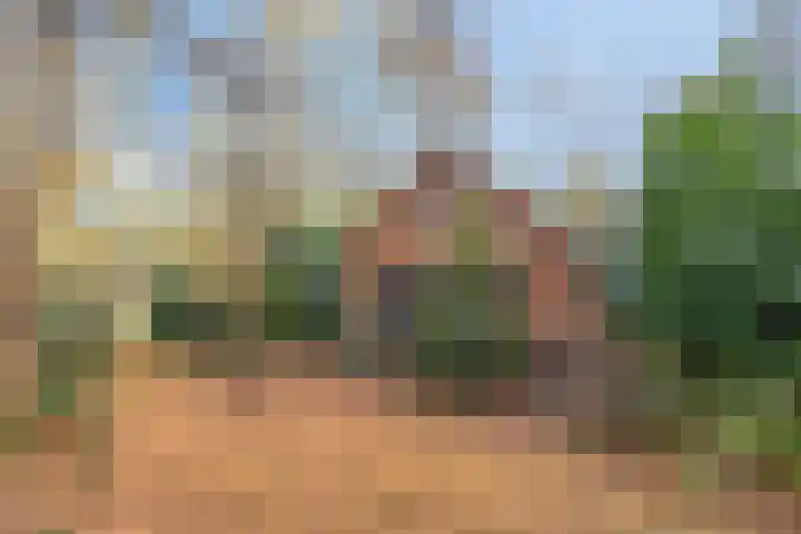 Zuursche Duinen 5 Steenbergen thumbnail 45