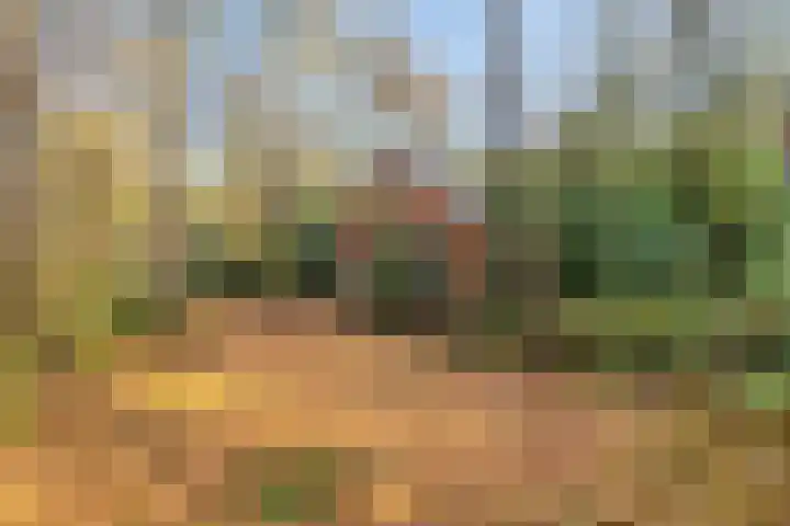 Zuursche Duinen 5 Steenbergen thumbnail 46