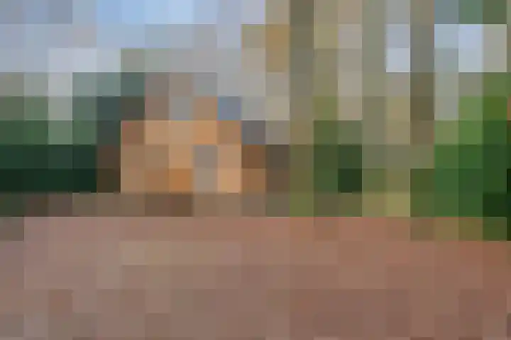 Zuursche Duinen 5 Steenbergen thumbnail 5