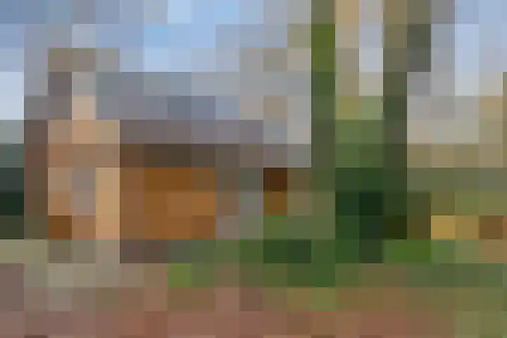 Zuursche Duinen 5 Steenbergen thumbnail 8