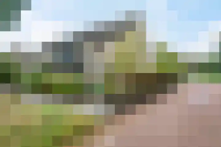 Zuurstukken 70 Eelde thumbnail 45