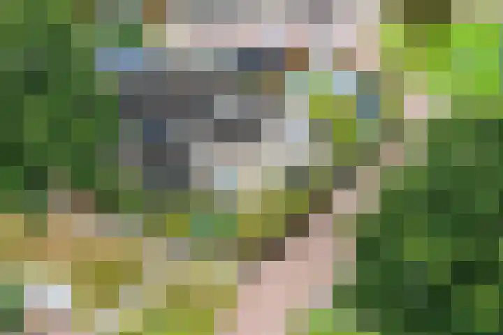 Zuurstukken 70 Eelde thumbnail 48