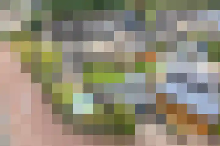 Zuurstukken 70 Eelde thumbnail 49