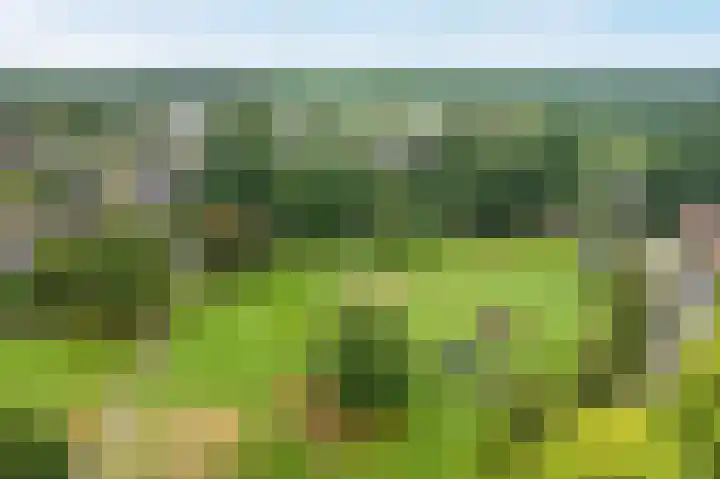 Zuurstukken 70 Eelde thumbnail 52