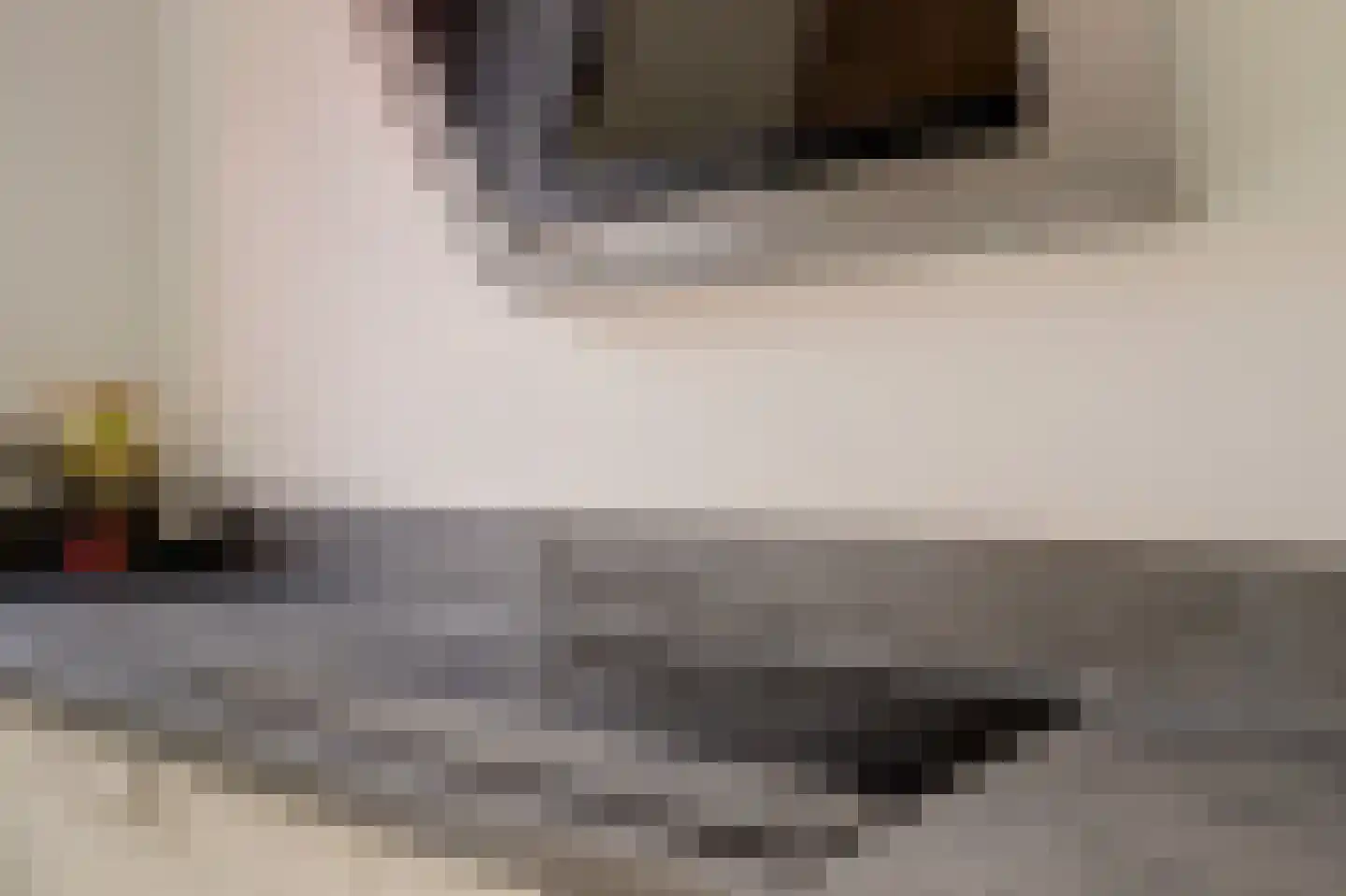 Zuwe 14 Bodegraven thumbnail 21