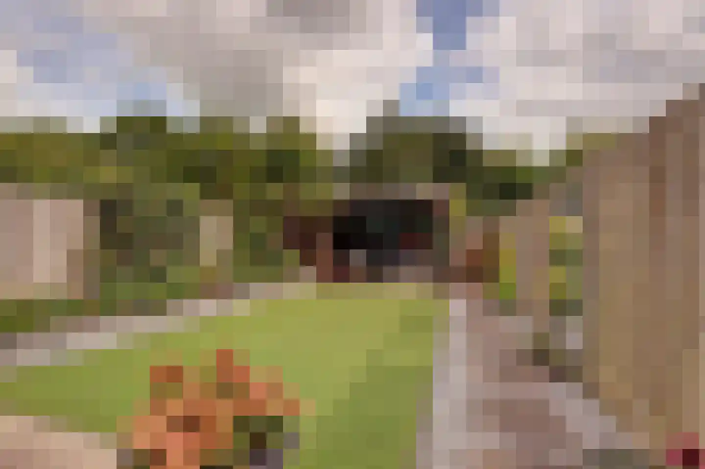 Zuwe 14 Bodegraven thumbnail 25