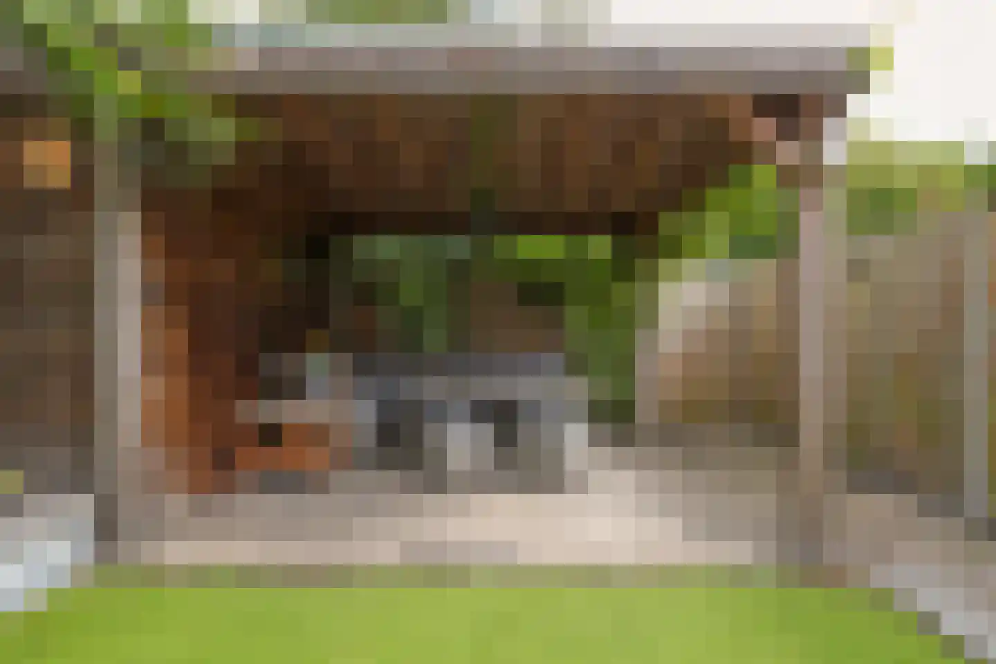 Zuwe 14 Bodegraven thumbnail 26
