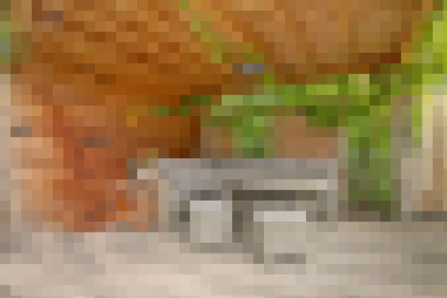 Zuwe 14 Bodegraven thumbnail 27