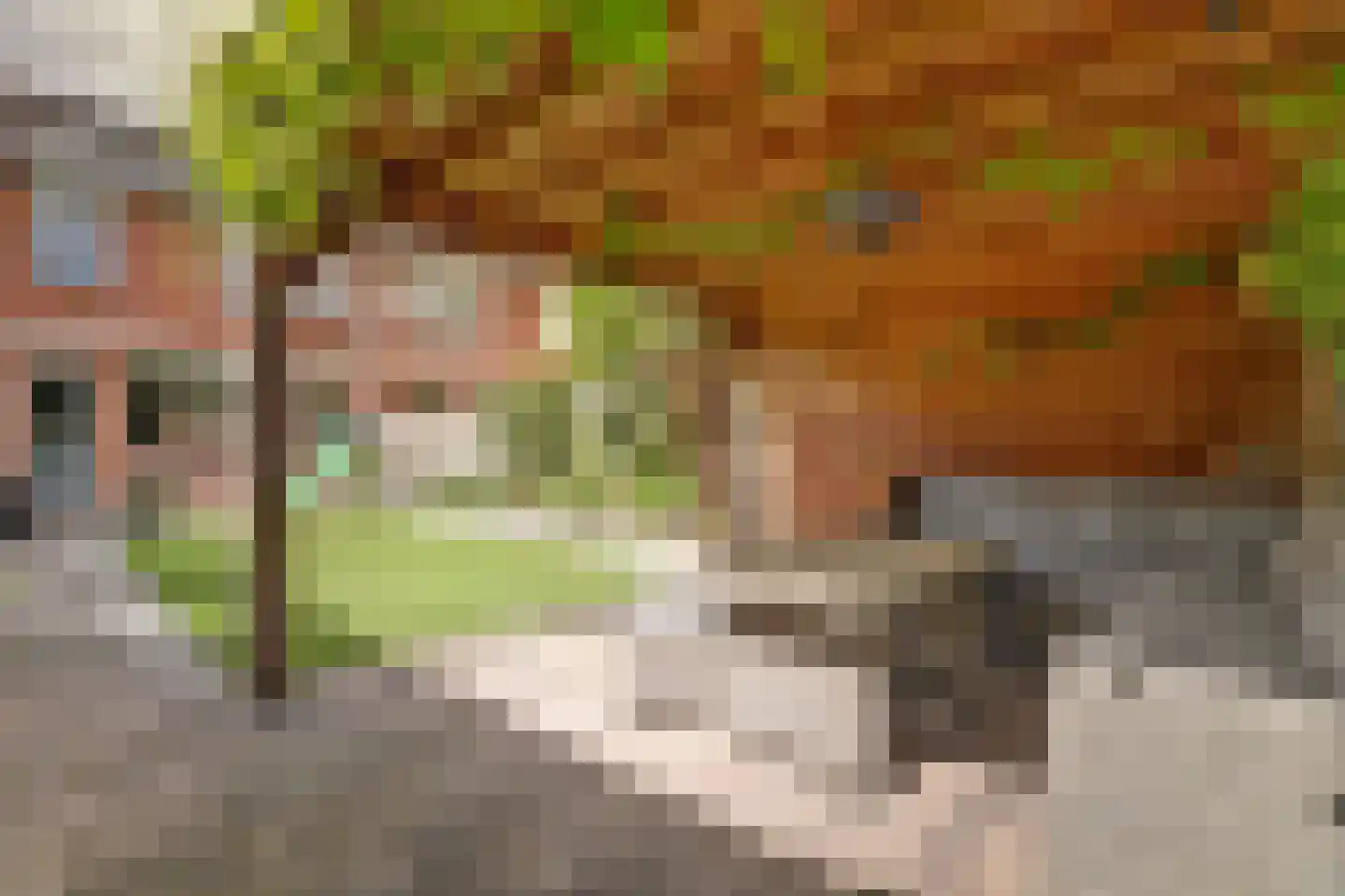 Zuwe 14 Bodegraven thumbnail 28