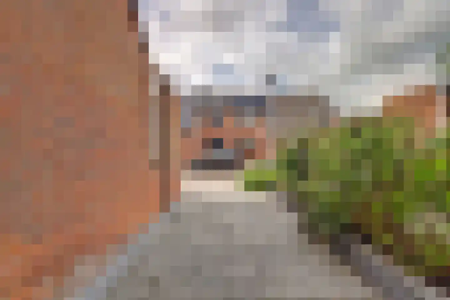 Zuwe 14 Bodegraven thumbnail 46