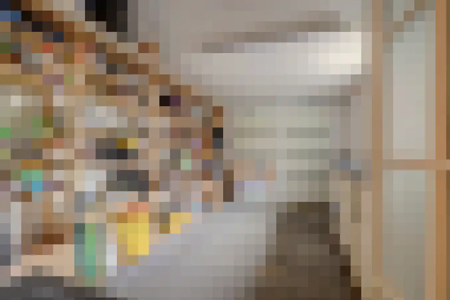 Zuwe 14 Bodegraven thumbnail 48