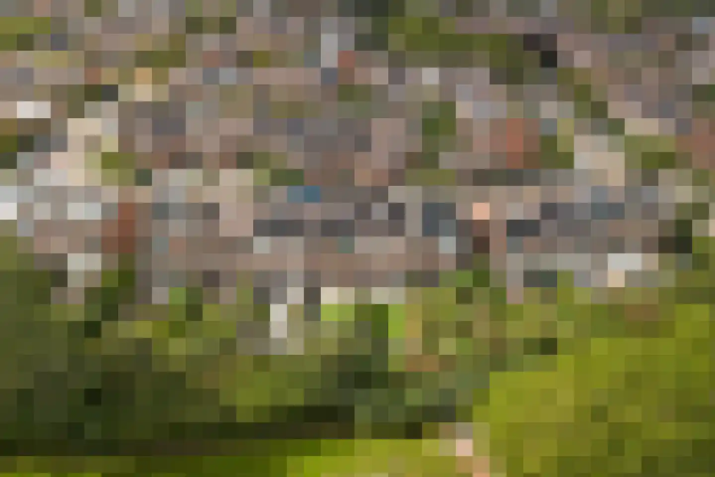 Zuwe 14 Bodegraven thumbnail 54