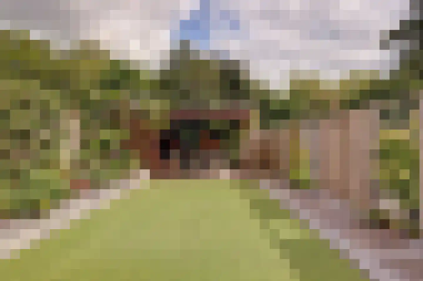 Zuwe 14 Bodegraven thumbnail 7