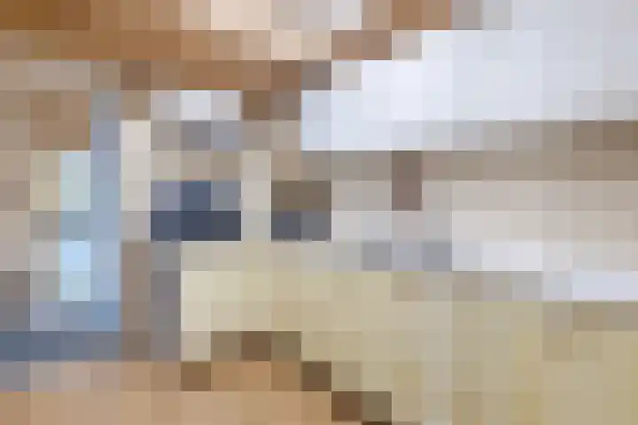 Zuwe 18 Bodegraven thumbnail 10