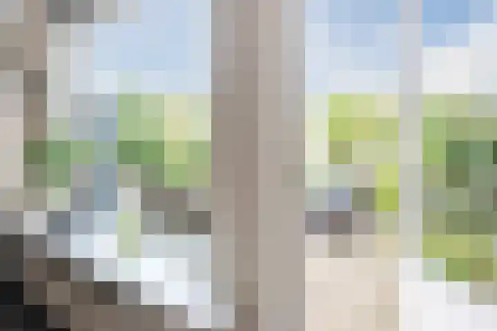 Zuwe 18 Bodegraven thumbnail 23