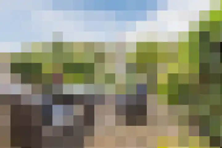 Zuwe 18 Bodegraven thumbnail 24