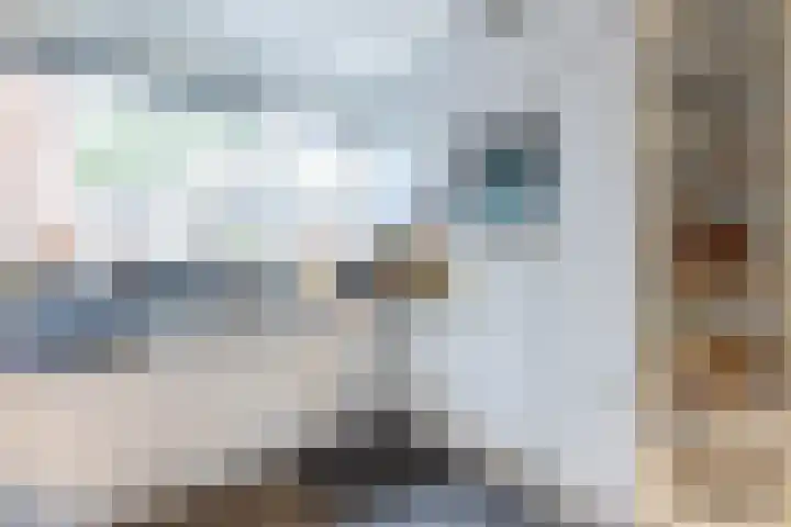 Zuwe 18 Bodegraven thumbnail 29