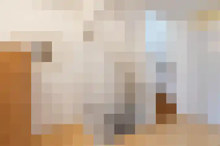Zuwe 18 Bodegraven thumbnail 31