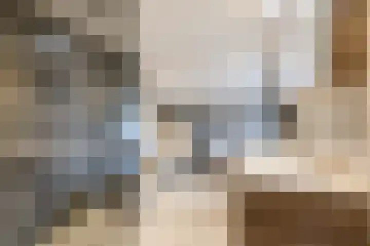 Zuwe 18 Bodegraven thumbnail 4