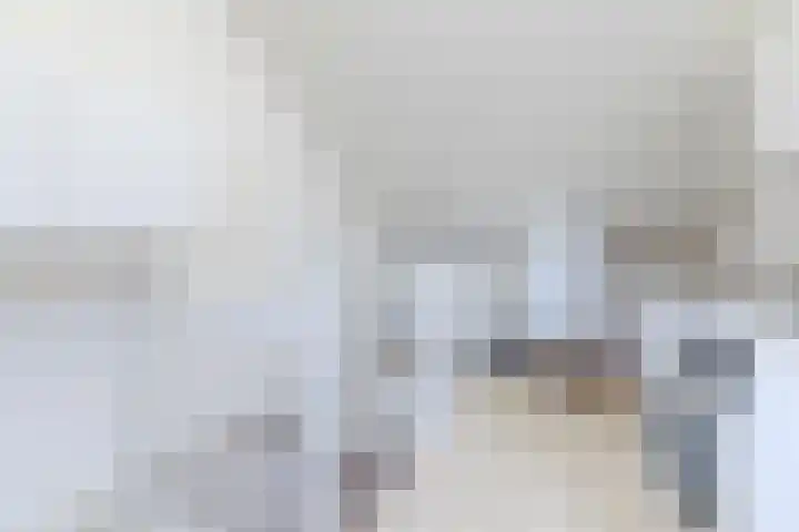 Zuwe 18 Bodegraven thumbnail 43